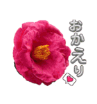 I LOVE♥CAMELLIA（個別スタンプ：10）