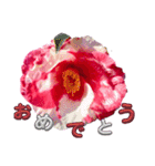 I LOVE♥CAMELLIA（個別スタンプ：12）