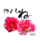 I LOVE♥CAMELLIA（個別スタンプ：28）