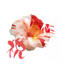 I LOVE♥CAMELLIA（個別スタンプ：30）
