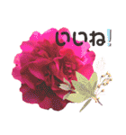 I LOVE♥CAMELLIA（個別スタンプ：31）