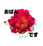 I LOVE♥CAMELLIA（個別スタンプ：32）