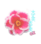 I LOVE♥CAMELLIA（個別スタンプ：34）