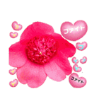 I LOVE♥CAMELLIA（個別スタンプ：36）