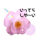 I LOVE♥CAMELLIA（個別スタンプ：40）