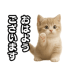 子猫verマンチカン2（個別スタンプ：1）