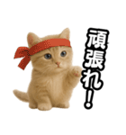 子猫verマンチカン2（個別スタンプ：9）