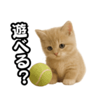 子猫verマンチカン2（個別スタンプ：10）