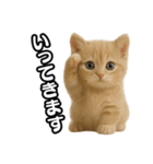 子猫verマンチカン2（個別スタンプ：17）