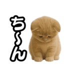 子猫verマンチカン2（個別スタンプ：18）