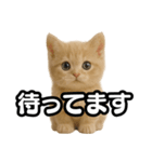 子猫verマンチカン2（個別スタンプ：19）