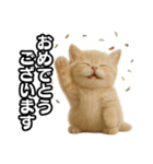 子猫verマンチカン2（個別スタンプ：21）