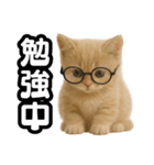 子猫verマンチカン2（個別スタンプ：22）