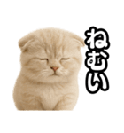 子猫verマンチカン2（個別スタンプ：26）