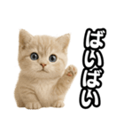 子猫verマンチカン2（個別スタンプ：28）