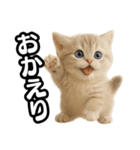 子猫verマンチカン2（個別スタンプ：29）