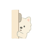 サモエドとウサギの毎日スタンプ（個別スタンプ：4）