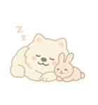 サモエドとウサギの毎日スタンプ（個別スタンプ：6）