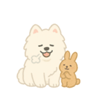 サモエドとウサギの毎日スタンプ（個別スタンプ：9）