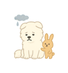 サモエドとウサギの毎日スタンプ（個別スタンプ：30）