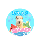 はっぴぃテリアの夏だぁsummerだぁ（個別スタンプ：1）