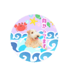 はっぴぃテリアの夏だぁsummerだぁ（個別スタンプ：21）