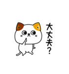 ねこ依存挨拶ほんのりゆるい（個別スタンプ：21）