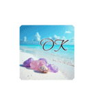 美しい海.Beautiful sea.英語.筆記体（個別スタンプ：5）