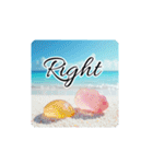 美しい海.Beautiful sea.英語.筆記体（個別スタンプ：10）