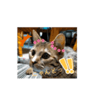 サンにゃん（個別スタンプ：2）