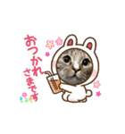サンにゃん（個別スタンプ：4）