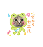 サンにゃん（個別スタンプ：10）