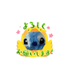 青いコアラ（個別スタンプ：6）