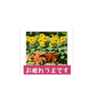 動く！馬と春とマイライフ1（個別スタンプ：7）