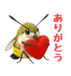 もふもふでかわいいオオスカシバ推し（個別スタンプ：3）