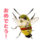 もふもふでかわいいオオスカシバ推し（個別スタンプ：4）