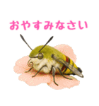 もふもふでかわいいオオスカシバ推し（個別スタンプ：9）