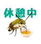 もふもふでかわいいオオスカシバ推し（個別スタンプ：12）
