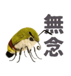 もふもふでかわいいオオスカシバ推し（個別スタンプ：19）