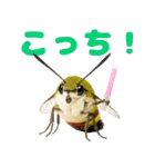 もふもふでかわいいオオスカシバ推し（個別スタンプ：27）