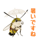 もふもふでかわいいオオスカシバ推し（個別スタンプ：30）