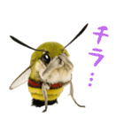 もふもふでかわいいオオスカシバ推し（個別スタンプ：33）
