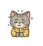 雨の日のトラねこ（個別スタンプ：7）