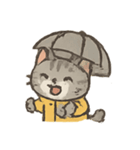 雨の日のトラねこ（個別スタンプ：8）