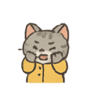 雨の日のトラねこ（個別スタンプ：20）