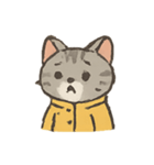 雨の日のトラねこ（個別スタンプ：22）