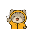 フード付きトラねこ（個別スタンプ：1）