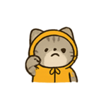 フード付きトラねこ（個別スタンプ：2）