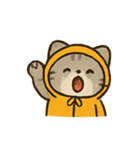 フード付きトラねこ（個別スタンプ：3）