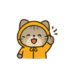 フード付きトラねこ（個別スタンプ：4）